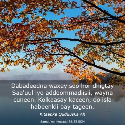 Picture 03 - Samuu'eel Kowaad 28:25 SOM - Dabadeedna waxay soo hor dhigtay Saa'uul iyo - Bible Verse Picture