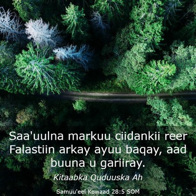 Picture 03 - Samuu'eel Kowaad 28:5 SOM - Saa'uulna markuu ciidankii reer Falastiin arkay - Bible Verse Picture
