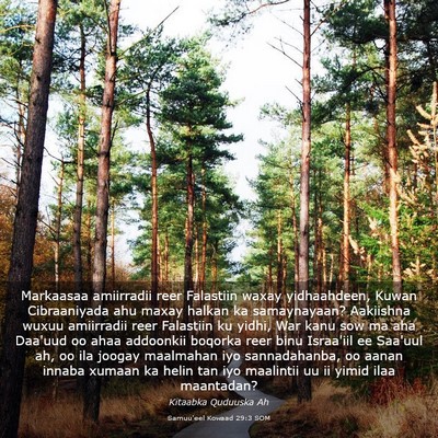 Picture 03 - Samuu'eel Kowaad 29:3 SOM - Markaasaa amiirradii reer Falastiin waxay - Bible Verse Picture