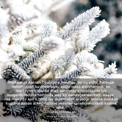 Picture 03 - Samuu'eel Kowaad 29:6 SOM - Markaasaa Aakiish Daa'uud u yeedhay, oo ku yidhi, - Bible Verse Picture