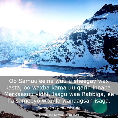 Picture 03 - Samuu'eel Kowaad 3:18 SOM - Oo Samuu'eelna wuu u sheegay wax kasta, oo waxba - Bible Verse Picture