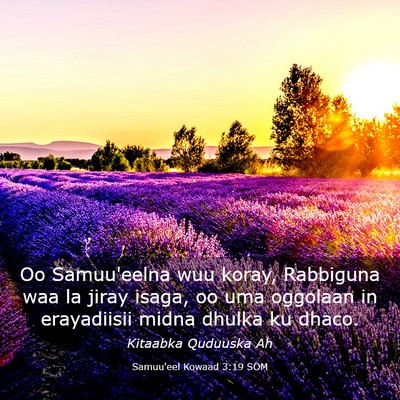 Picture 03 - Samuu'eel Kowaad 3:19 SOM - Oo Samuu'eelna wuu koray, Rabbiguna waa la jiray - Bible Verse Picture