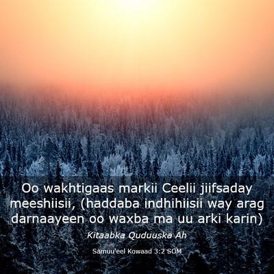 Picture 03 - Samuu'eel Kowaad 3:2 SOM - Oo wakhtigaas markii Ceelii jiifsaday meeshiisii, - Bible Verse Picture