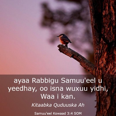 Picture 03 - Samuu'eel Kowaad 3:4 SOM - ayaa Rabbigu Samuu'eel u yeedhay, oo isna wuxuu - Bible Verse Picture