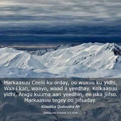 Picture 03 - Samuu'eel Kowaad 3:5 SOM - Markaasuu Ceelii ku orday, oo wuxuu ku yidhi, Waa - Bible Verse Picture