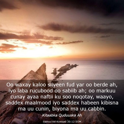 Picture 03 - Samuu'eel Kowaad 30:12 SOM - Oo waxay kaloo siiyeen fud yar oo berde ah, iyo - Bible Verse Picture