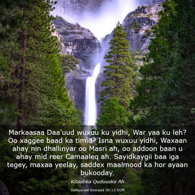 Picture 03 - Samuu'eel Kowaad 30:13 SOM - Markaasaa Daa'uud wuxuu ku yidhi, War yaa ku leh? - Bible Verse Picture