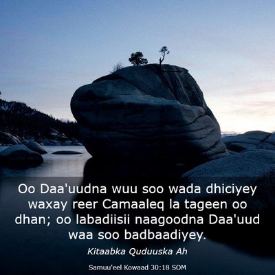 Picture 03 - Samuu'eel Kowaad 30:18 SOM - Oo Daa'uudna wuu soo wada dhiciyey waxay reer - Bible Verse Picture