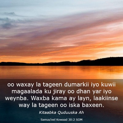 Picture 03 - Samuu'eel Kowaad 30:2 SOM - oo waxay la tageen dumarkii iyo kuwii magaalada - Bible Verse Picture