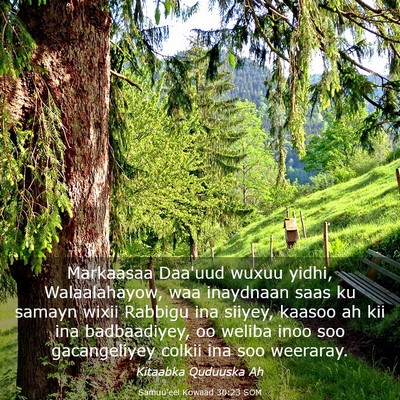 Picture 03 - Samuu'eel Kowaad 30:23 SOM - Markaasaa Daa'uud wuxuu yidhi, Walaalahayow, waa - Bible Verse Picture