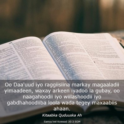 Picture 03 - Samuu'eel Kowaad 30:3 SOM - Oo Daa'uud iyo raggiisiina markay magaaladii - Bible Verse Picture