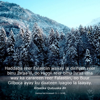 Picture 03 - Samuu'eel Kowaad 31:1 SOM - Haddaba reer Falastiin waxay la dirireen reer - Bible Verse Picture