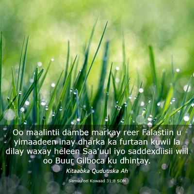 Picture 03 - Samuu'eel Kowaad 31:8 SOM - Oo maalintii dambe markay reer Falastiin u - Bible Verse Picture