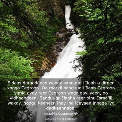 Picture 03 - Samuu'eel Kowaad 5:10 SOM - Sidaas daraaddeed waxay sanduuqii Ilaah u direen - Bible Verse Picture