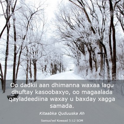 Picture 03 - Samuu'eel Kowaad 5:12 SOM - Oo dadkii aan dhimanna waxaa lagu dhuftay - Bible Verse Picture