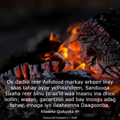Picture 03 - Samuu'eel Kowaad 5:7 SOM - Oo dadkii reer Ashdood markay arkeen inay saas - Bible Verse Picture