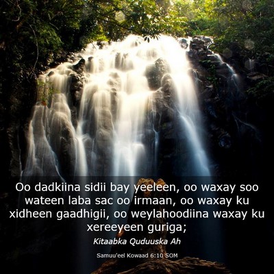 Picture 03 - Samuu'eel Kowaad 6:10 SOM - Oo dadkiina sidii bay yeeleen, oo waxay soo - Bible Verse Picture