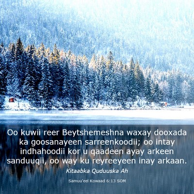 Picture 03 - Samuu'eel Kowaad 6:13 SOM - Oo kuwii reer Beytshemeshna waxay dooxada ka - Bible Verse Picture