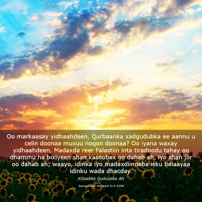 Picture 03 - Samuu'eel Kowaad 6:4 SOM - Oo markaasay yidhaahdeen, Qurbaanka xadgudubka ee - Bible Verse Picture