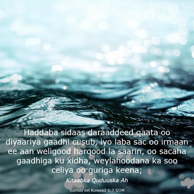 Picture 03 - Samuu'eel Kowaad 6:7 SOM - Haddaba sidaas daraaddeed qaata oo diyaariya - Bible Verse Picture