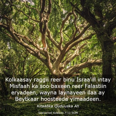 Picture 03 - Samuu'eel Kowaad 7:11 SOM - Kolkaasay raggii reer binu Israa'iil intay - Bible Verse Picture