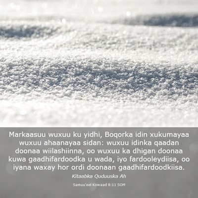 Picture 03 - Samuu'eel Kowaad 8:11 SOM - Markaasuu wuxuu ku yidhi, Boqorka idin xukumayaa - Bible Verse Picture