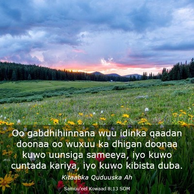 Picture 03 - Samuu'eel Kowaad 8:13 SOM - Oo gabdhihiinnana wuu idinka qaadan doonaa oo - Bible Verse Picture