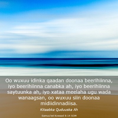 Picture 03 - Samuu'eel Kowaad 8:14 SOM - Oo wuxuu idinka qaadan doonaa beerihiinna, iyo - Bible Verse Picture