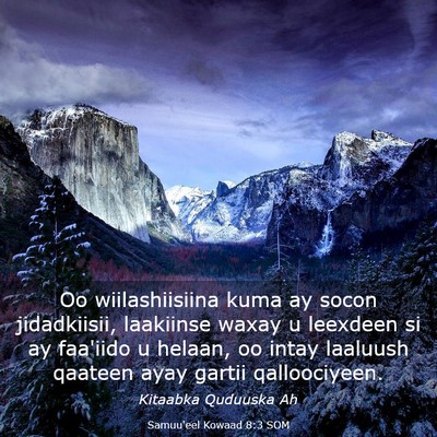 Picture 03 - Samuu'eel Kowaad 8:3 SOM - Oo wiilashiisiina kuma ay socon jidadkiisii, - Bible Verse Picture