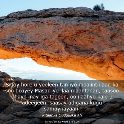Picture 03 - Samuu'eel Kowaad 8:8 SOM - Siday hore u yeeleen tan iyo maalintii aan ka soo - Bible Verse Picture