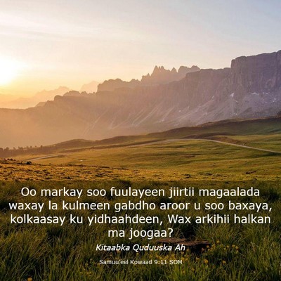 Picture 03 - Samuu'eel Kowaad 9:11 SOM - Oo markay soo fuulayeen jiirtii magaalada waxay - Bible Verse Picture