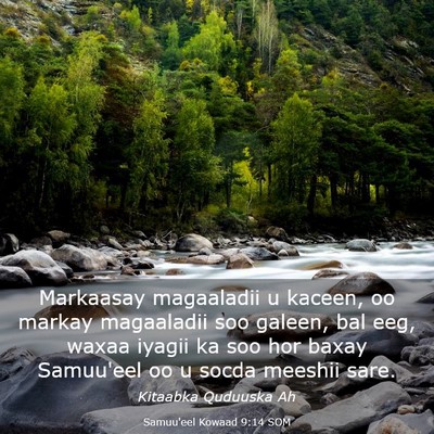Picture 03 - Samuu'eel Kowaad 9:14 SOM - Markaasay magaaladii u kaceen, oo markay - Bible Verse Picture