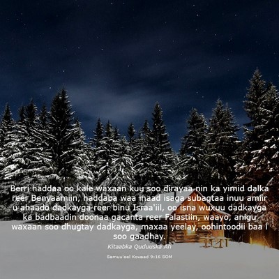 Picture 03 - Samuu'eel Kowaad 9:16 SOM - Berri haddaa oo kale waxaan kuu soo dirayaa nin - Bible Verse Picture