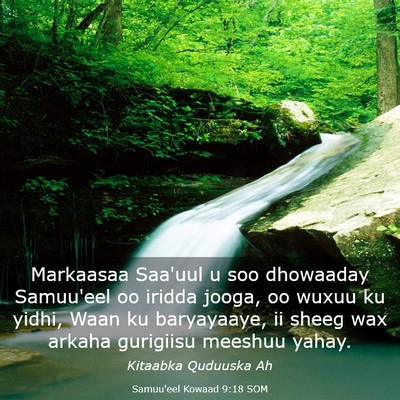 Picture 03 - Samuu'eel Kowaad 9:18 SOM - Markaasaa Saa'uul u soo dhowaaday Samuu'eel oo - Bible Verse Picture