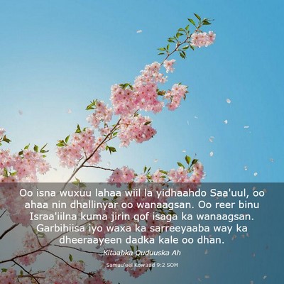 Picture 03 - Samuu'eel Kowaad 9:2 SOM - Oo isna wuxuu lahaa wiil la yidhaahdo Saa'uul, oo - Bible Verse Picture