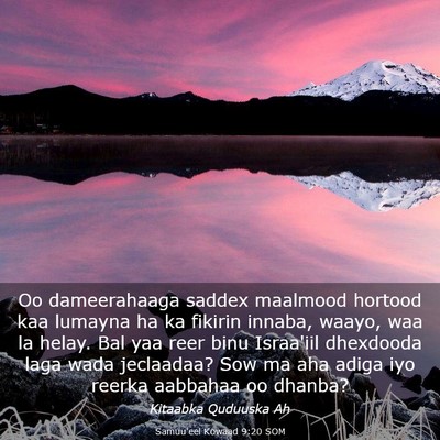 Picture 03 - Samuu'eel Kowaad 9:20 SOM - Oo dameerahaaga saddex maalmood hortood kaa - Bible Verse Picture