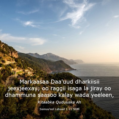 Picture 03 - Samuu'eel Labaad 1:11 SOM - Markaasaa Daa'uud dharkiisii jeexjeexay; oo - Bible Verse Picture