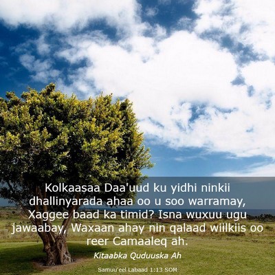 Picture 03 - Samuu'eel Labaad 1:13 SOM - Kolkaasaa Daa'uud ku yidhi ninkii dhallinyarada - Bible Verse Picture