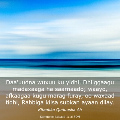 Picture 03 - Samuu'eel Labaad 1:16 SOM - Daa'uudna wuxuu ku yidhi, Dhiiggaagu madaxaaga ha - Bible Verse Picture