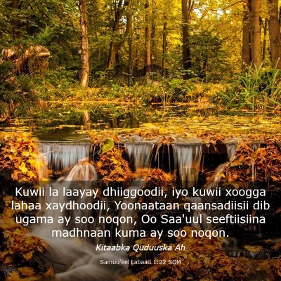 Picture 03 - Samuu'eel Labaad 1:22 SOM - Kuwii la laayay dhiiggoodii, iyo kuwii xoogga - Bible Verse Picture