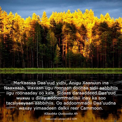 Picture 03 - Samuu'eel Labaad 10:2 SOM - Markaasaa Daa'uud yidhi, Anigu Xaanuun ina - Bible Verse Picture