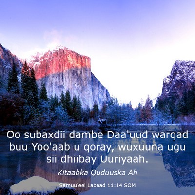 Picture 03 - Samuu'eel Labaad 11:14 SOM - Oo subaxdii dambe Daa'uud warqad buu Yoo'aab u - Bible Verse Picture