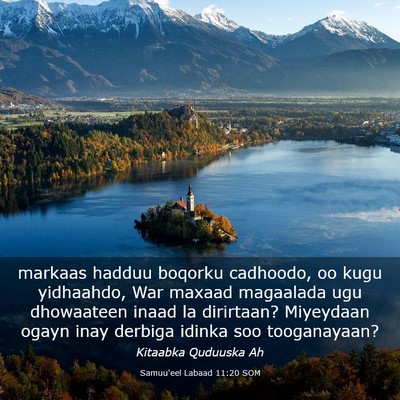 Picture 03 - Samuu'eel Labaad 11:20 SOM - markaas hadduu boqorku cadhoodo, oo kugu - Bible Verse Picture