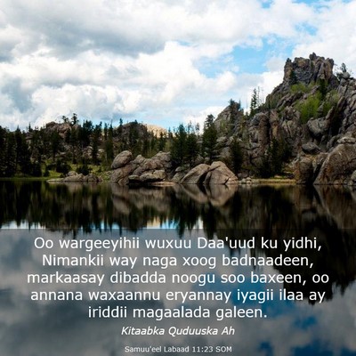 Picture 03 - Samuu'eel Labaad 11:23 SOM - Oo wargeeyihii wuxuu Daa'uud ku yidhi, Nimankii - Bible Verse Picture