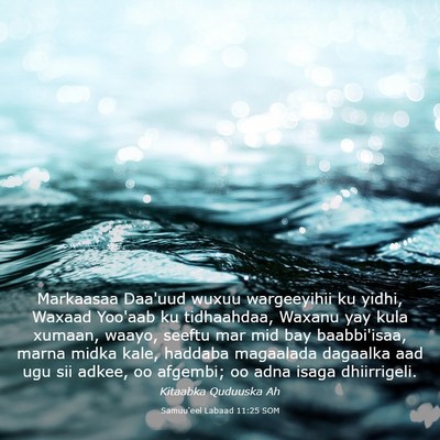 Picture 03 - Samuu'eel Labaad 11:25 SOM - Markaasaa Daa'uud wuxuu wargeeyihii ku yidhi, - Bible Verse Picture
