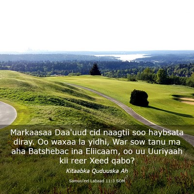 Picture 03 - Samuu'eel Labaad 11:3 SOM - Markaasaa Daa'uud cid naagtii soo haybsata diray. - Bible Verse Picture