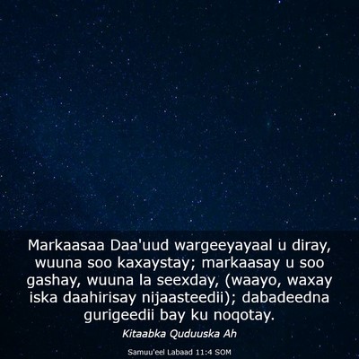 Picture 03 - Samuu'eel Labaad 11:4 SOM - Markaasaa Daa'uud wargeeyayaal u diray, wuuna soo - Bible Verse Picture