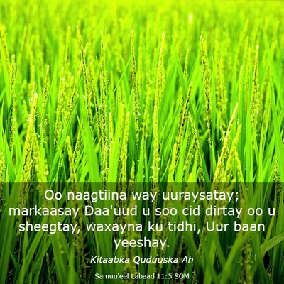 Picture 03 - Samuu'eel Labaad 11:5 SOM - Oo naagtiina way uuraysatay; markaasay Daa'uud u - Bible Verse Picture
