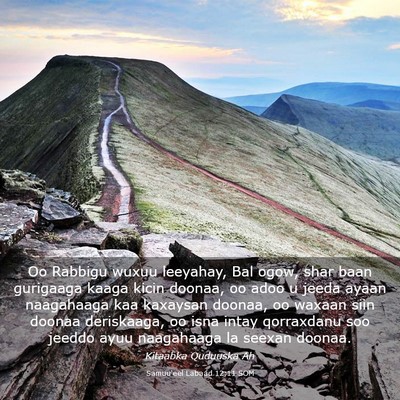 Picture 03 - Samuu'eel Labaad 12:11 SOM - Oo Rabbigu wuxuu leeyahay, Bal ogow, shar baan - Bible Verse Picture