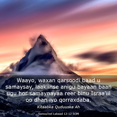 Picture 03 - Samuu'eel Labaad 12:12 SOM - Waayo, waxan qarsoodi baad u samaysay, laakiinse - Bible Verse Picture